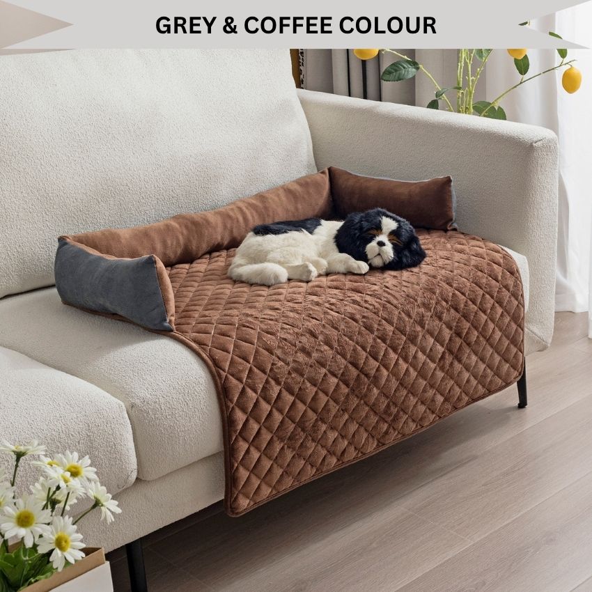 ComfyPawGuard – Plush & Comfy Furniture & Sofa Protective Pad With Raised Pillow Edge For All Paws