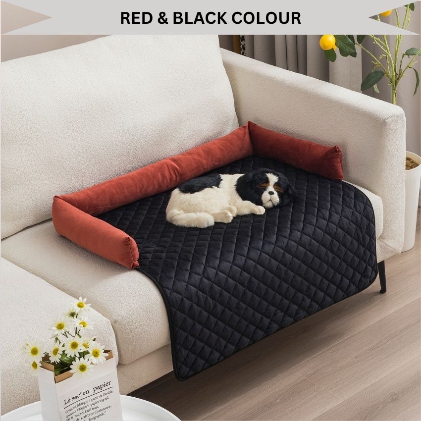 ComfyPawGuard – Plush & Comfy Furniture & Sofa Protective Pad With Raised Pillow Edge For All Paws