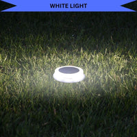 SmartGlow Disc - Solar Rechargeable LED Light for Pathways and Outdoor Landscapes