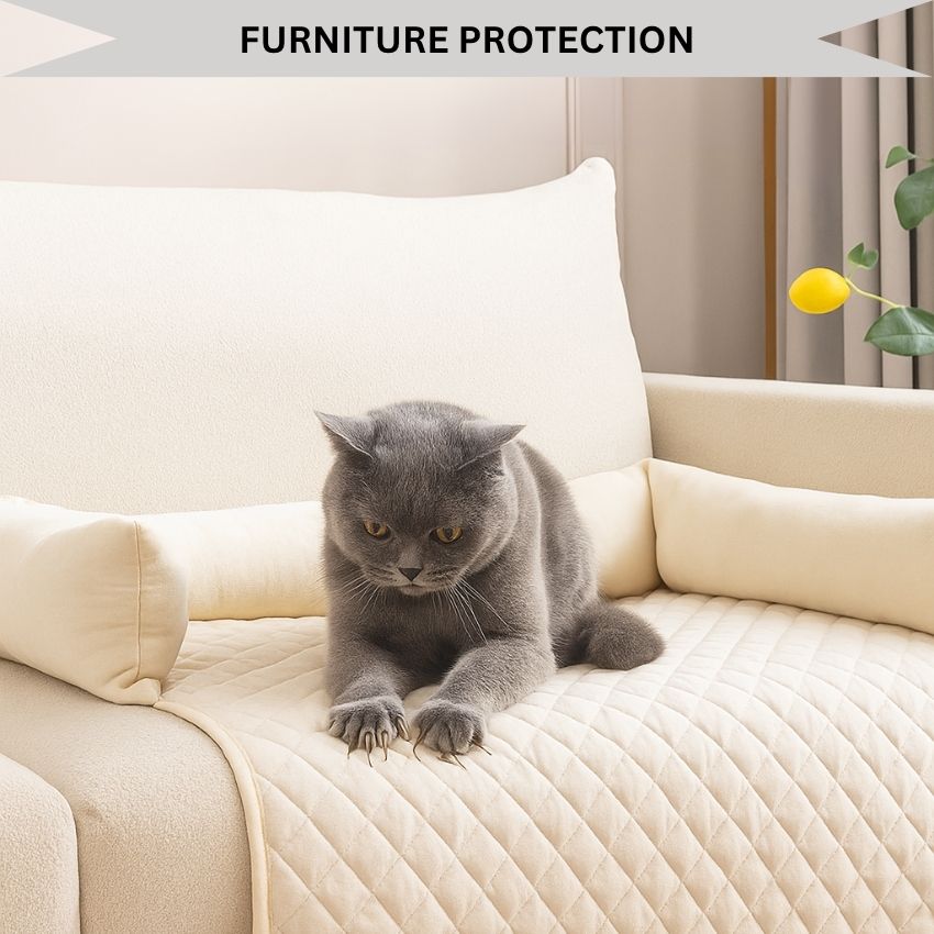 ComfyPawGuard – Plush & Comfy Furniture & Sofa Protective Pad With Raised Pillow Edge For All Paws